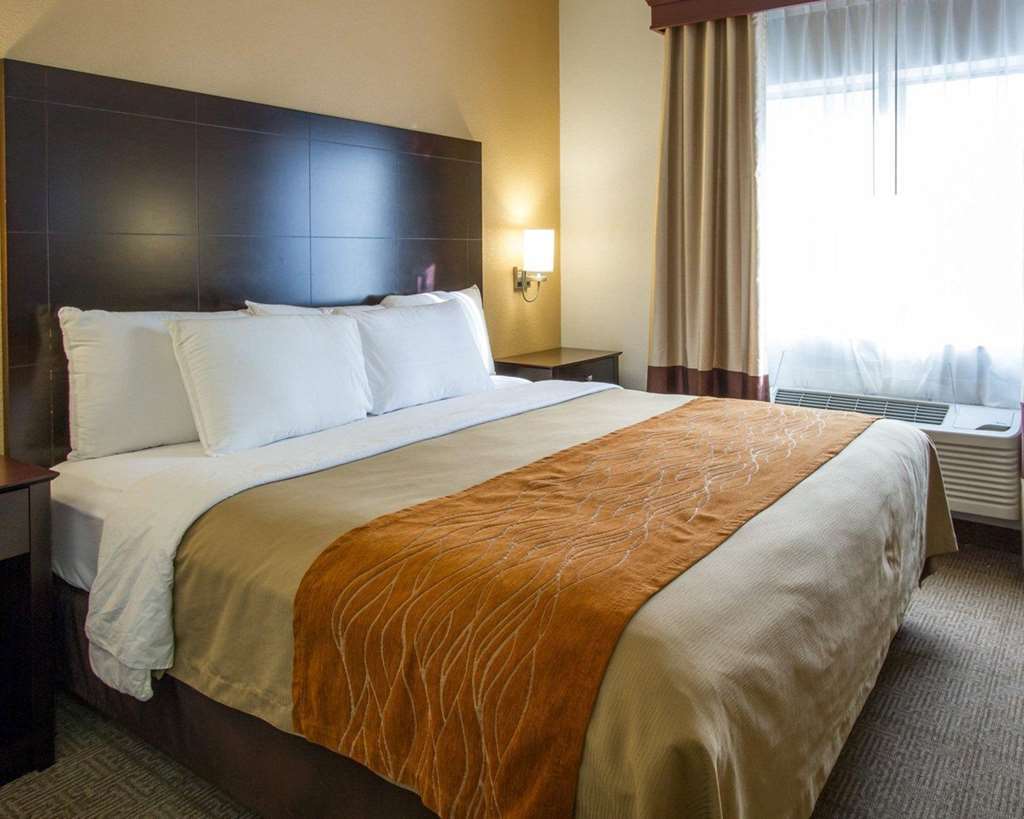 Comfort Inn & Suites Paw Paw Habitación foto